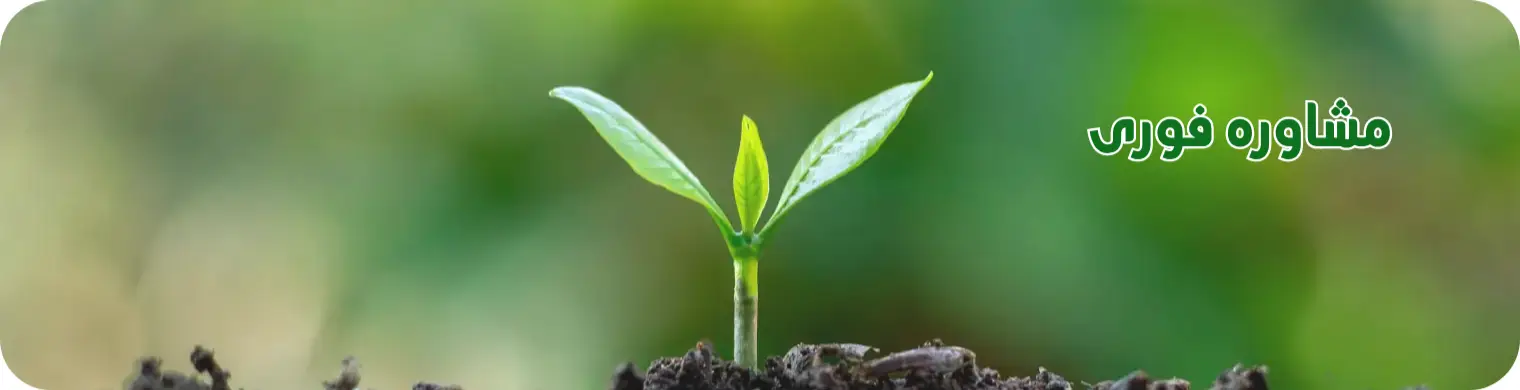 مشاوره فوری درمانیار